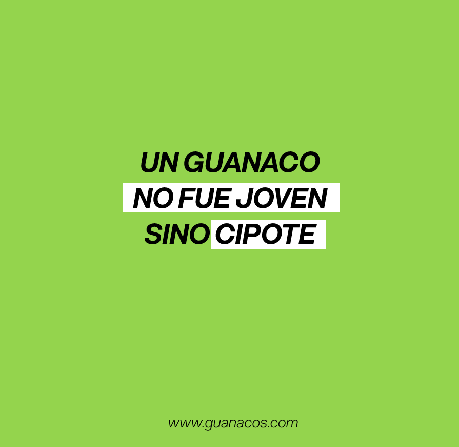Una reflexión muy Guanaca