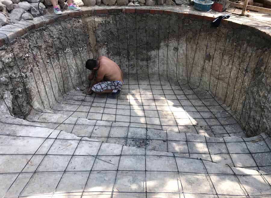 Guanacos construyeron su propia piscina