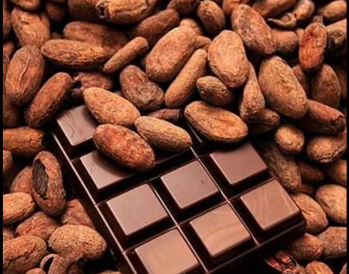 granos de cacao y tableta de chocolate
