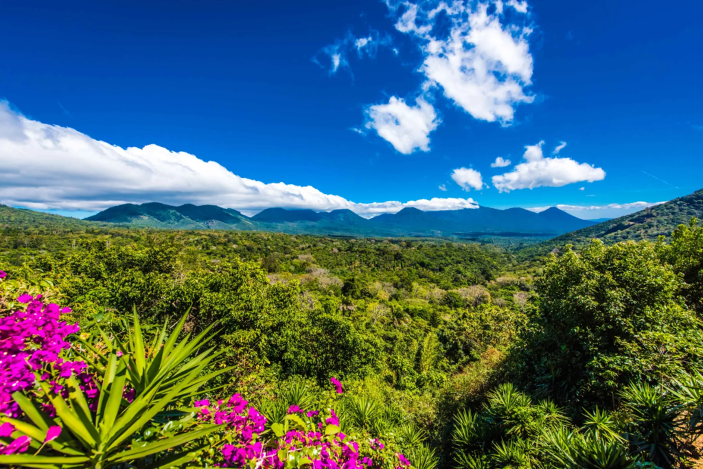 Fotografía de la ruta de las flores