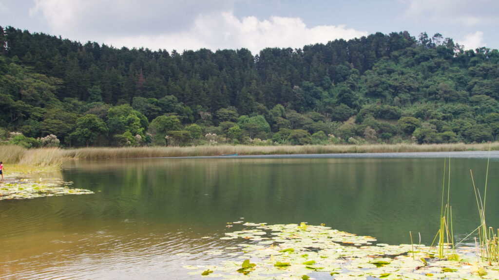 Fotografía panorámica de la Laguna Verde.