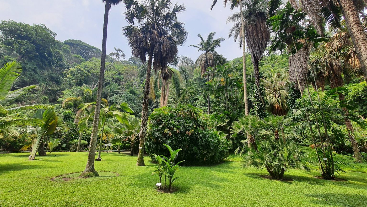 Jardín Botánico La Laguna, destino natural salvadoreño | Guanacos