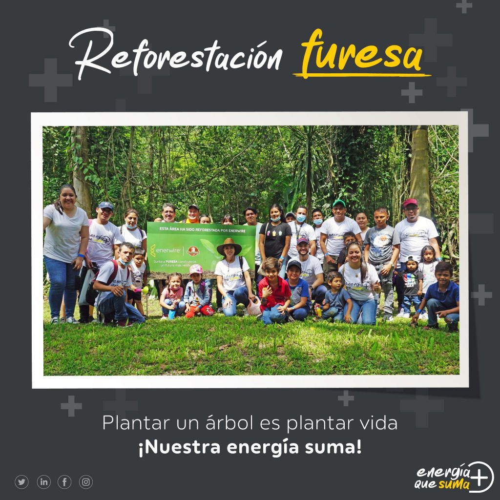 Campaña de reforestación de Furesa.