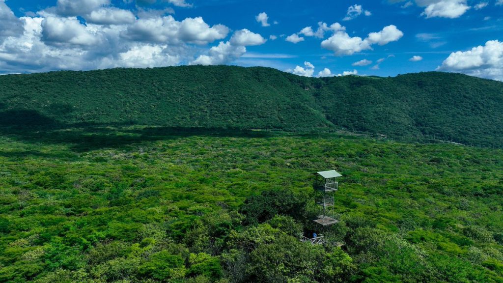 Parque Nacional San Diego.